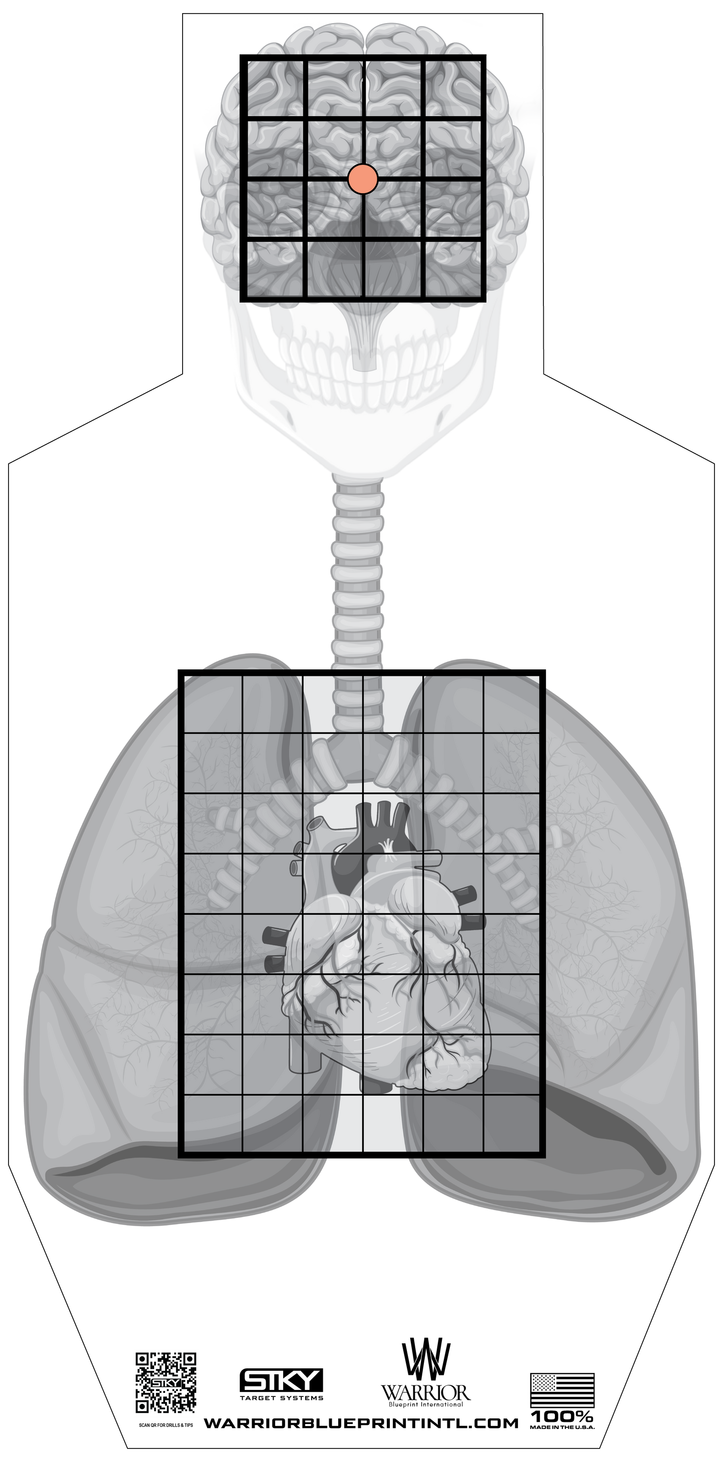 IPSC Target Roll (Advanced)